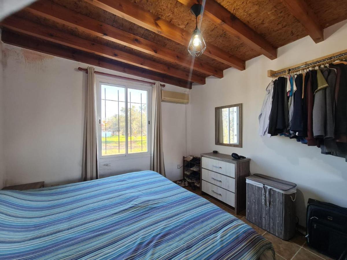 Spacious Studio In Yeroskipou Koloni Екстер'єр фото