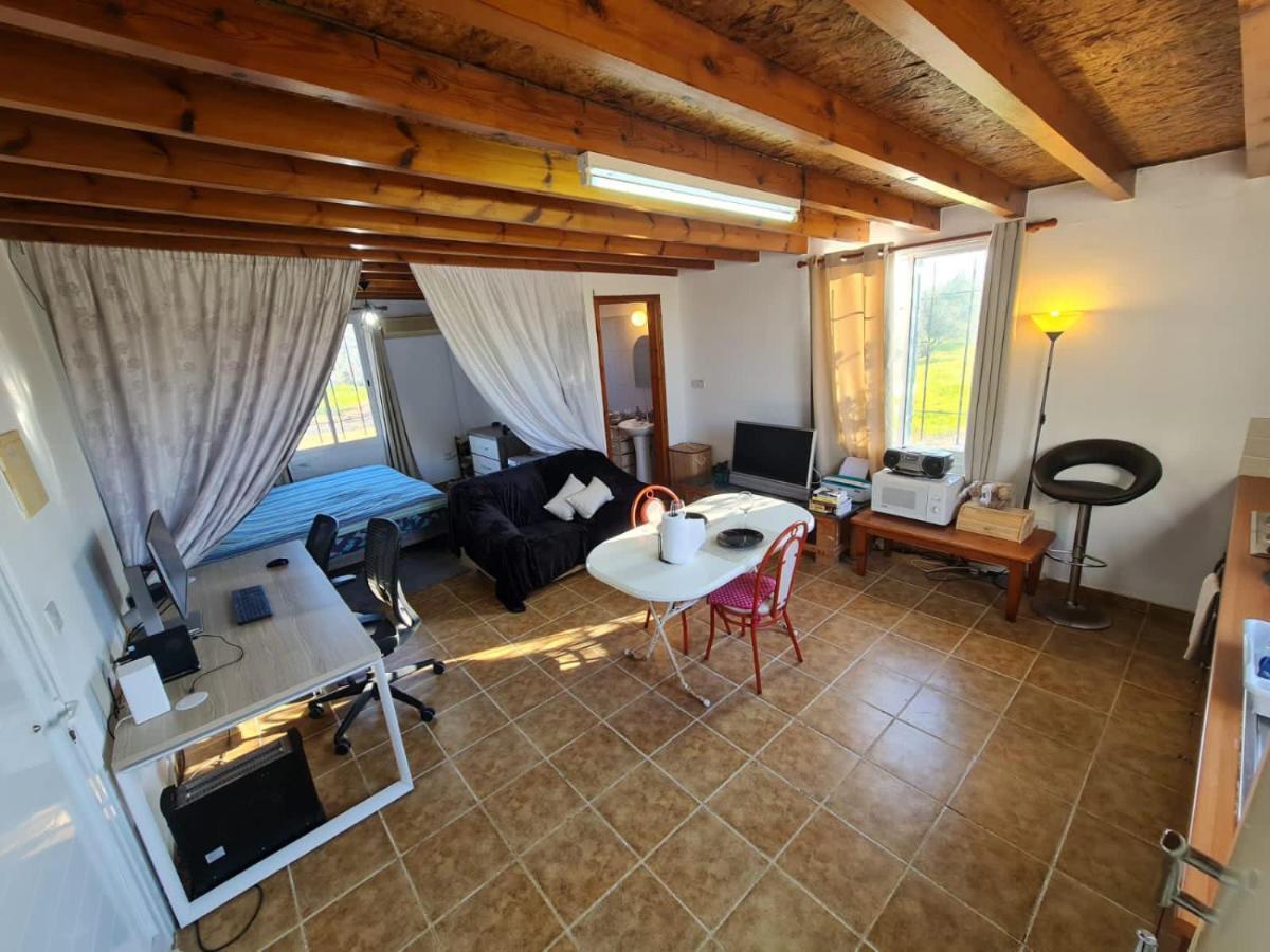Spacious Studio In Yeroskipou Koloni Екстер'єр фото