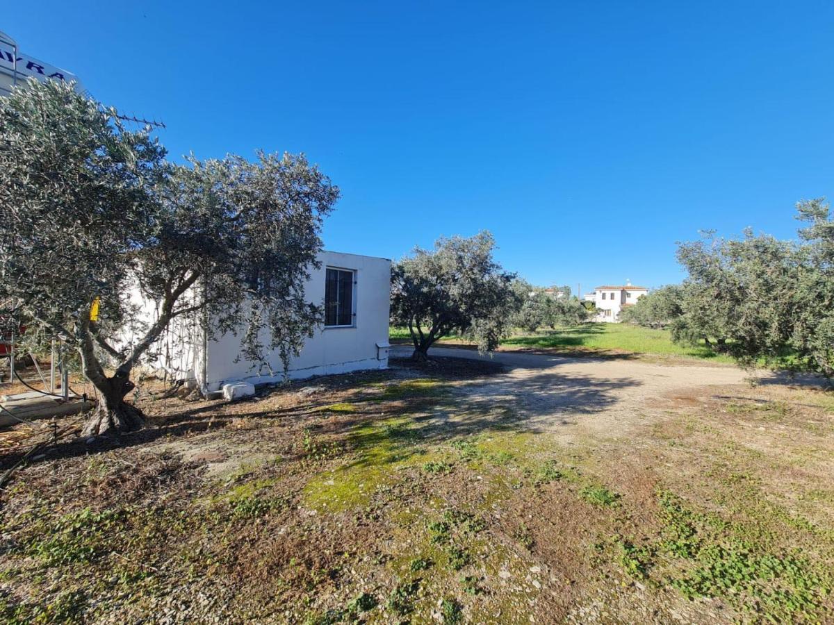 Spacious Studio In Yeroskipou Koloni Екстер'єр фото