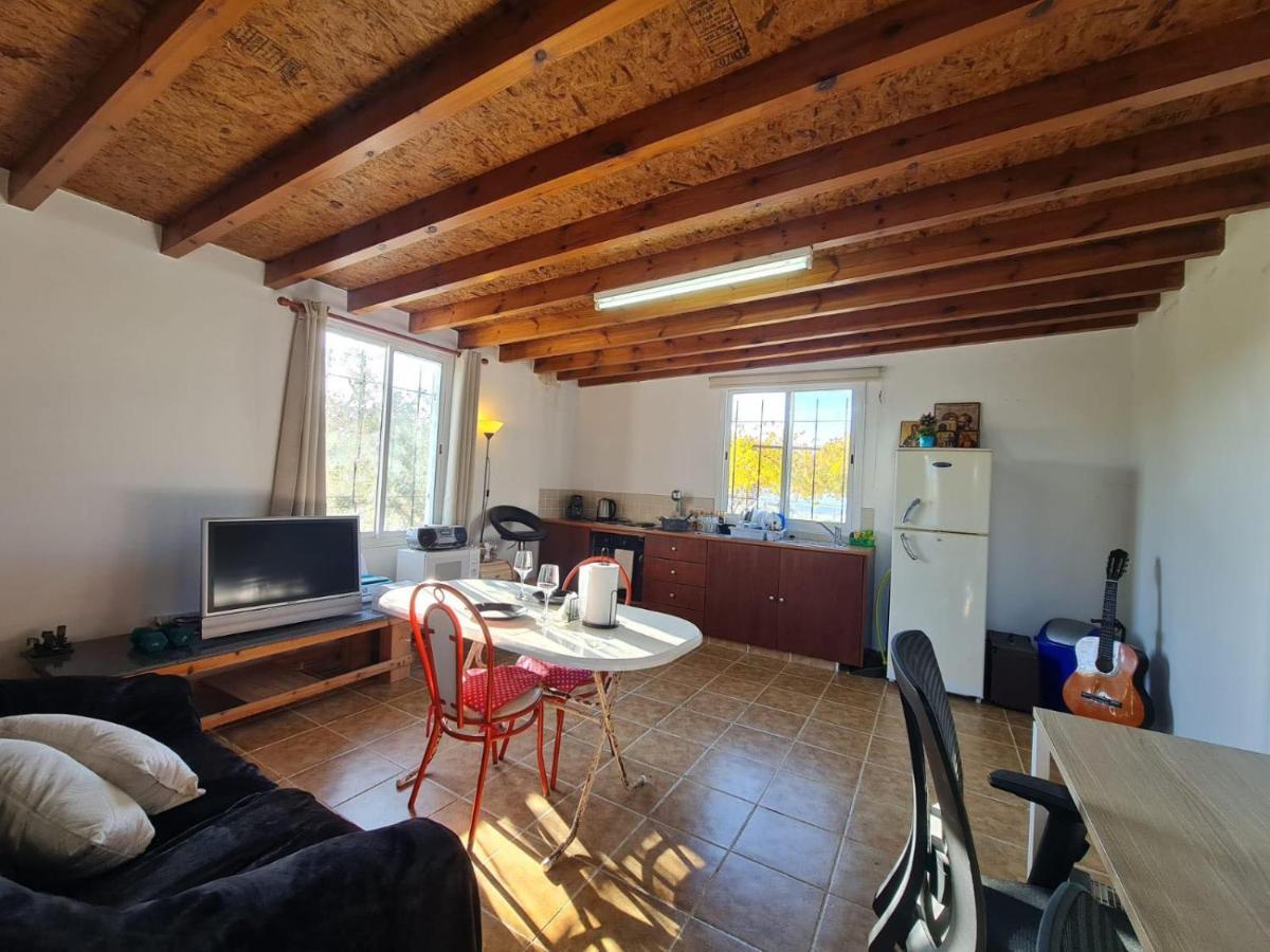 Spacious Studio In Yeroskipou Koloni Екстер'єр фото